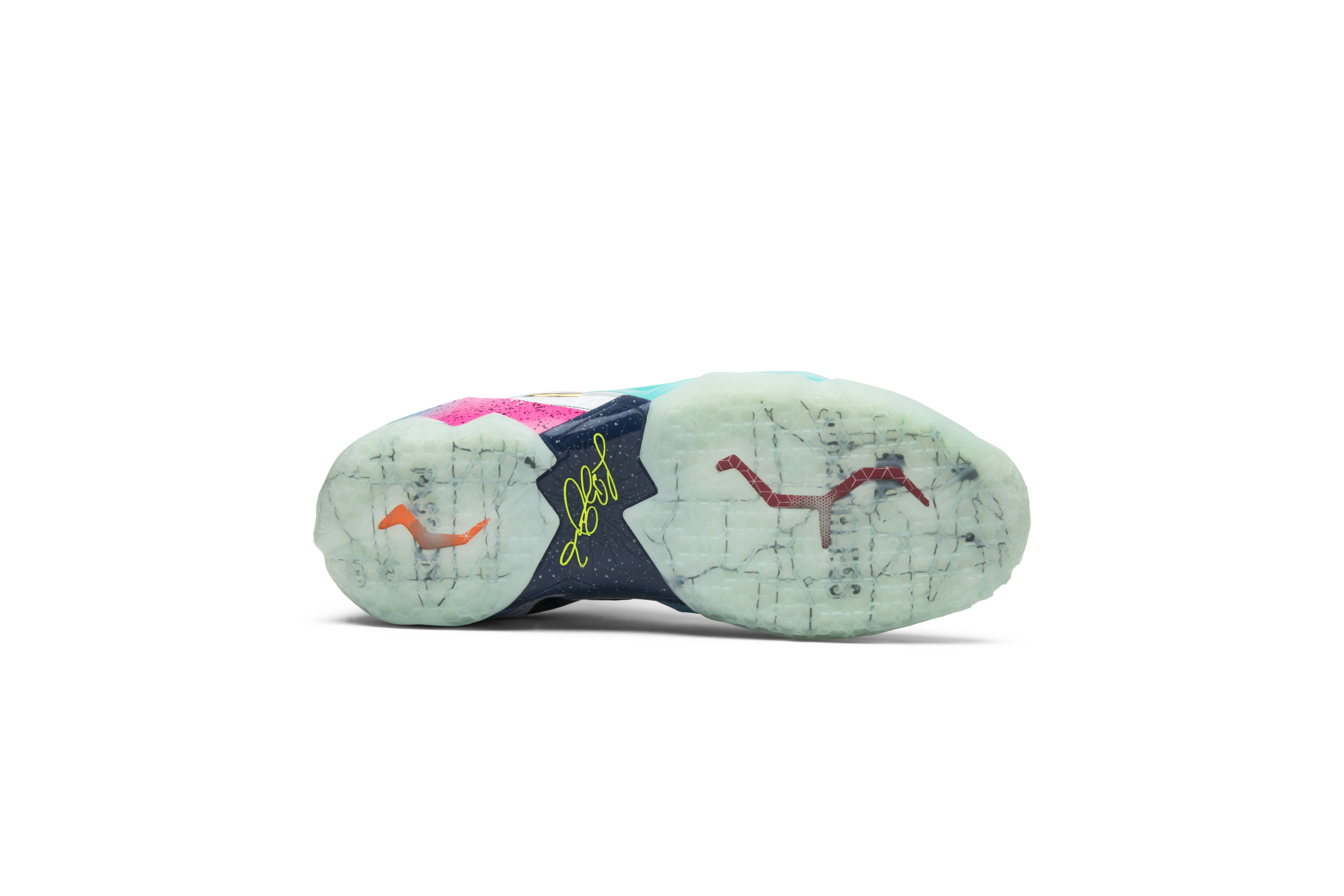 Nike LeBron 11 Premium What The LeBron 650884-400 Nicesnk